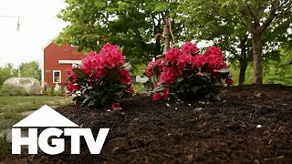 All About Azaleas  Gardening Tips  HGTV [upl. by Evol423]