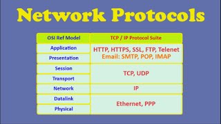 Network Protocols [upl. by Aenahs]