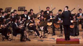 流星群 Ryūseigun  ARTE MANDOLINISTICA 2015 [upl. by Reg379]