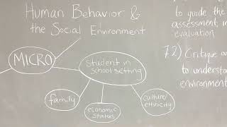 Human Behavior and the Social Environment [upl. by Isadore147]