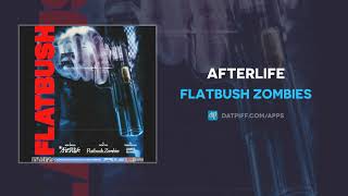 Flatbush Zombies  Afterlife AUDIO [upl. by Ailaza]