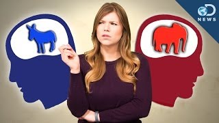 How Are Conservative And Liberal Brains Different [upl. by Dom563]