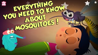 Everything About Mosquitoes  Zika Virus  The Dr Binocs Show  Peekaboo Kidz [upl. by Notnil]