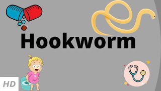 Hookworm Causes Signs and Symptoms Diagnosis and Treatment [upl. by Dorran]