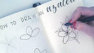 HOW TO DRAW  Azalea flower [upl. by Annig444]