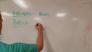 Hypoxia vs Hypoxemia Know the Difference [upl. by Coad485]