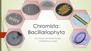 Introducción al estudio de las Diatomeas Bacillariophyta [upl. by Irodim]