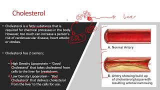 AQA A Level PE 2018  Cardiovascular System Lesson [upl. by Nevaj]