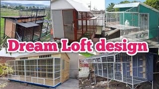 Pigeon Loft design  DreamLoft [upl. by Rosamund]