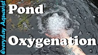 How To Aerate amp Oxygenate Your Pond [upl. by Misha]