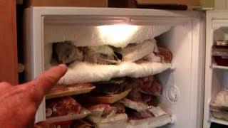 Freezer Frost Repair [upl. by Buddie]