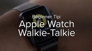 How to use WalkieTalkie on Apple Watch [upl. by Tnahsarp92]