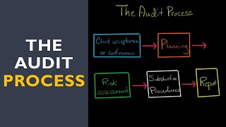 The Audit Process [upl. by Lesya]