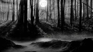 Emotional Dark Music  The Eternal Forest [upl. by Casimir]