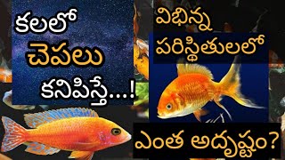 కలలో చెపలు కనిపిస్తే  Kalalo Chepalu Kanipiste  Fish in Dream Meaning  Part 1 [upl. by Goode985]