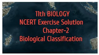 NCERT Exercise solution Chapter2 Biological Classification [upl. by Berner880]