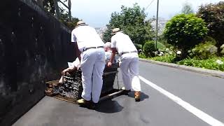 Madeira Toboggan Ride [upl. by Hale]