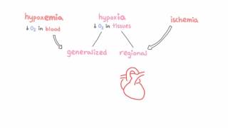 Introduction to hypoxemia [upl. by Dot]