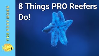 8 Things Experienced Reefers Do That Noobs Dont [upl. by Miche]