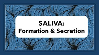 Saliva Formation amp Secretion [upl. by Ahsata]