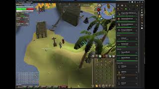 Tempoross Solo Guide 9000 max points method OSRS [upl. by Nunnery620]