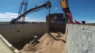 mv Hollandia loading woodchips in Sheet Harbour [upl. by Fai794]