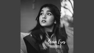 Ocean Eyes feat Sumesh Parameswar [upl. by Nohtiek]