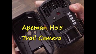 The Apeman H55 trail camera [upl. by Daegal]