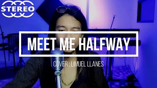 Meet Me Half Way  Cover  Limuel Llanes Kenny Loggins [upl. by Dott]