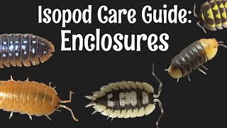 Isopod Care Guide Part 1 Enclosures [upl. by Nwahsor812]