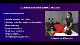 PNF Proprioceptive Neuromuscular Facilitation for the Upper Extremity [upl. by Silberman521]