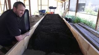 Large Scale Worm Farm  Just Getting Started [upl. by Granny]