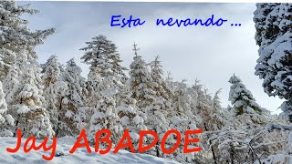 Jay ABADOE  Esta nevando [upl. by Schroer]