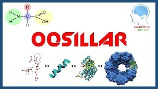 Oqsillarning tuzilishi va biologik xossalari  Оқсилларнинг тузилиши ва биологик хоссалари [upl. by Malaspina27]