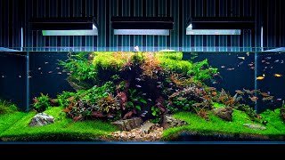 Aquarium Maintenance On Client Location  4K Cinematic  Green Aqua [upl. by Soraya]