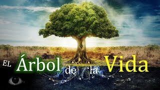 El árbol de la vida Significados y culturas [upl. by Sorazal254]