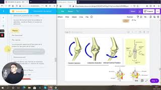 FLEXION et EXTENSION du GENOU  PHYSIOLOGIE ARTICULAIRE  BIOMÉCANIQUE [upl. by Merat]