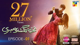 Muhabbat Gumshuda Meri  Episode 01 𝐂𝐂   Khushhal Khan amp Dananeer   28th April 2023  HUM TV [upl. by Ahsimat674]