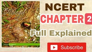 NCERT Chapter 2 Biological classification class 11 Biology Full Command For BOARDS and NEET [upl. by Enirehs]