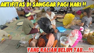 KEGIATAN DI SANGGAR PAGI HARI BANYAK YANG BELUM TAU [upl. by Darrick]