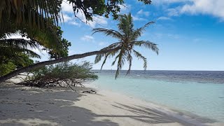 Maldives Embudu village [upl. by Gottwald]