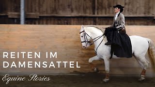 Most BEAUTIFUL And IMPRESSIVE Horse Breeds In The World [upl. by Selyn]