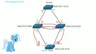 STP Designated ports [upl. by Onnem]