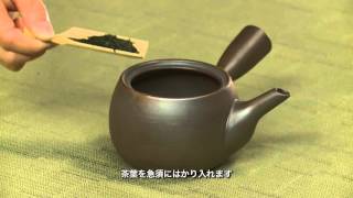 How to Brew Sencha Tea  Dens Tea [upl. by Anilocin736]