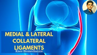 MEDIAL amp LATERAL COLLATERAL LIGAMENTS  Anatomy amp Biomechanics applied [upl. by Arataj]