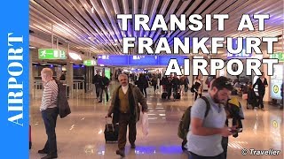 TRANSIT WALK AT FRANKFURT Airport FRA Terminal 1  Connection Flight Transfer Arriving amp Departing [upl. by Darn]