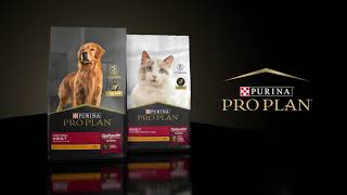 PURINA PRO PLAN®  O melhor alimento para o seu pet [upl. by Auhsaj167]