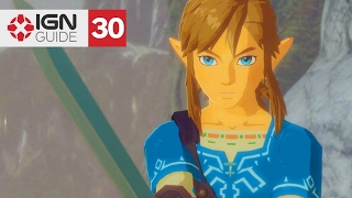 Zelda Breath of the Wild Walkthrough  Divine Beast Vah Medoh Dungeon Part 30 [upl. by Camellia]