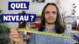 ÉVALUER VOTRE NIVEAU DANS UNE LANGUE  LA MÉTHODE SIMPLE [upl. by Tsai]