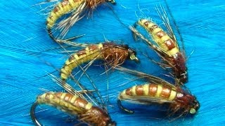 Tying the McPhail Caddis Pupa by Davie McPhail [upl. by Imtiaz]